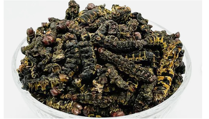 dried catre